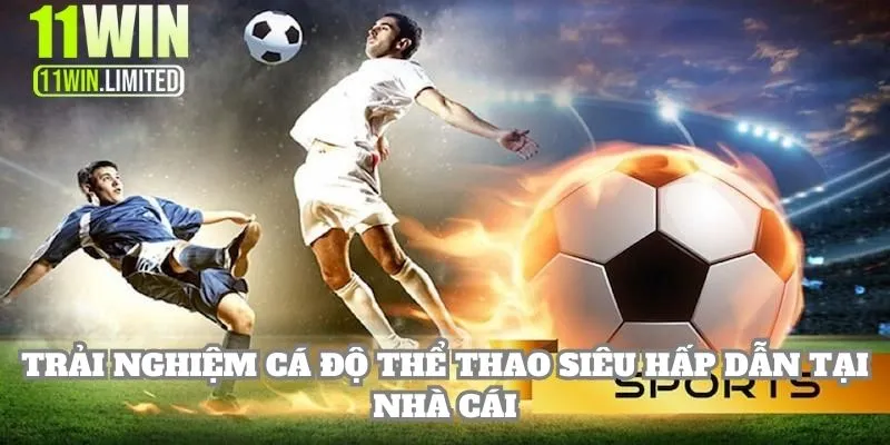 Trải nghiệm cá độ thể thao siêu hấp dẫn tại 11WIN